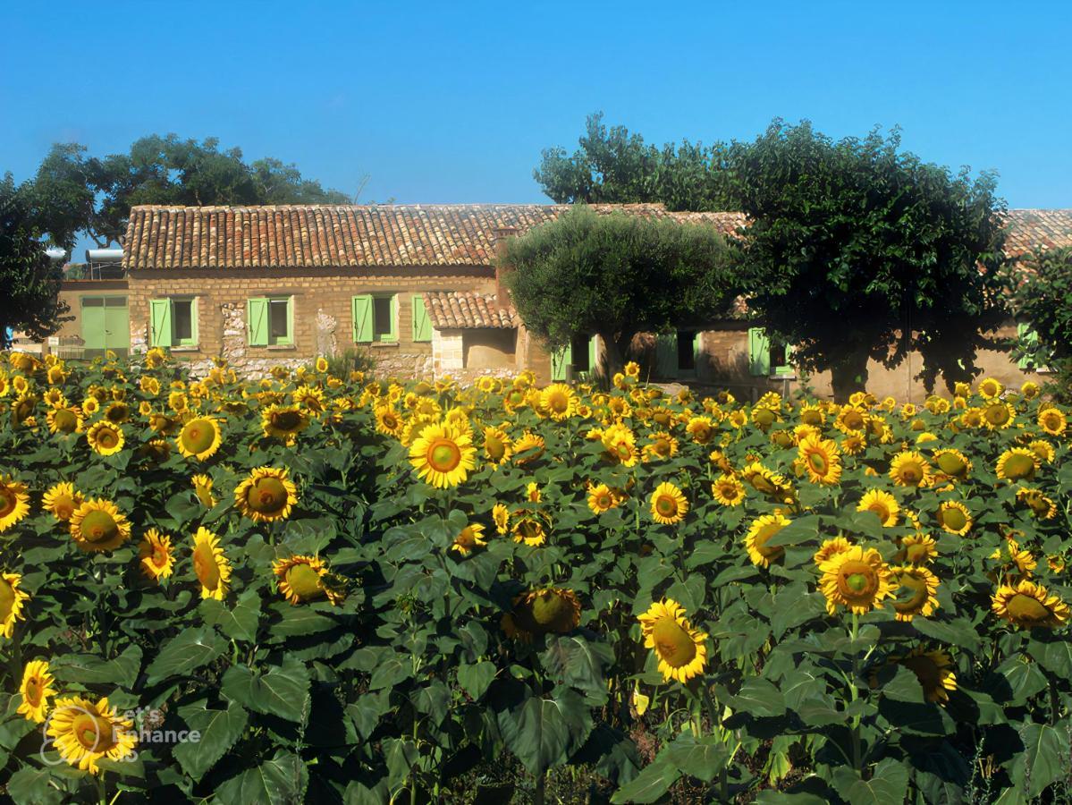 Il Canto Di Kokopelli Country Houses Brattiro Kültér fotó
