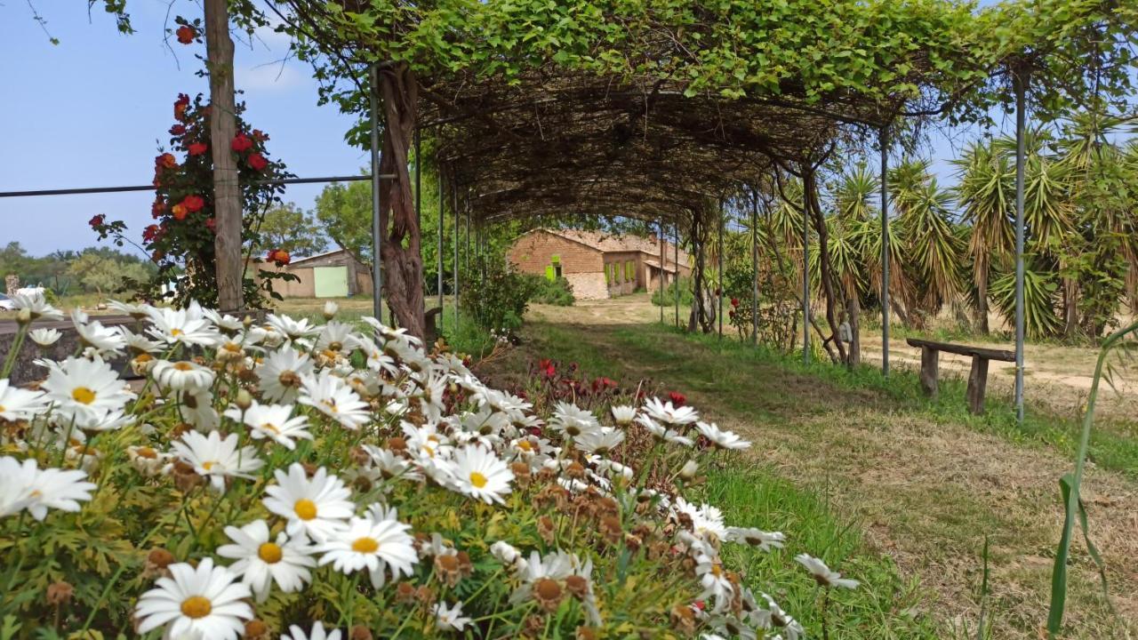 Il Canto Di Kokopelli Country Houses Brattiro Kültér fotó